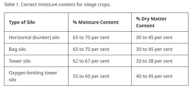 DON levels in corn silage